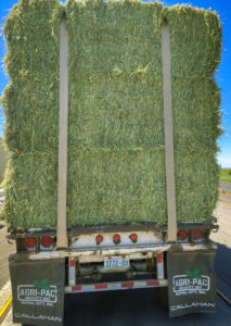 Agri-pac-timothy-premium-quality-hay