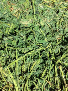 Agri-pac-alfalfa-premium-hay